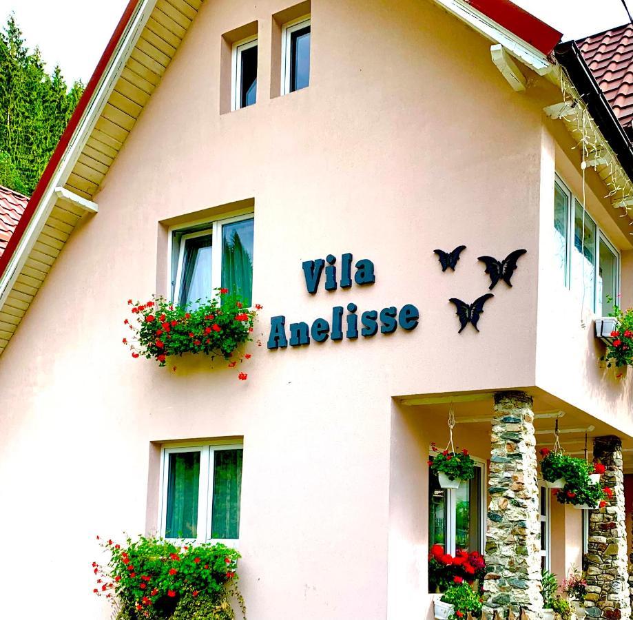 Anelisse Inn Moeciu De Sus Zewnętrze zdjęcie