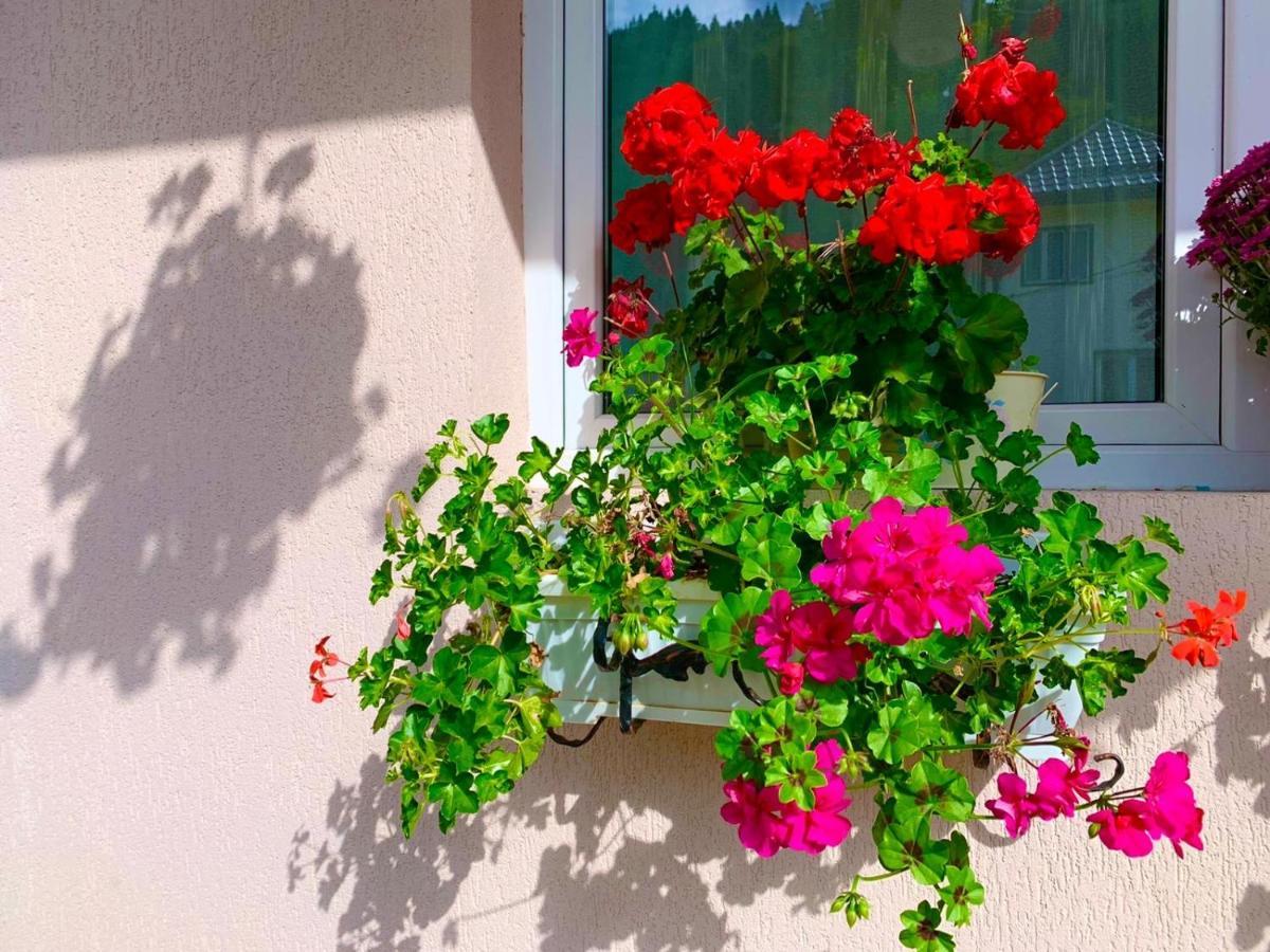 Anelisse Inn Moeciu De Sus Zewnętrze zdjęcie