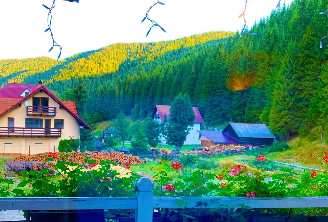 Anelisse Inn Moeciu De Sus Zewnętrze zdjęcie