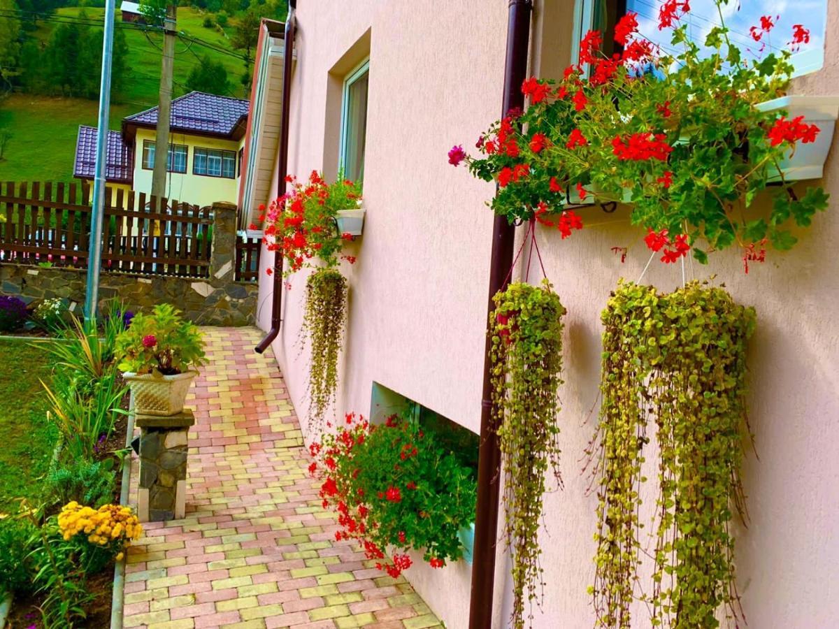 Anelisse Inn Moeciu De Sus Zewnętrze zdjęcie