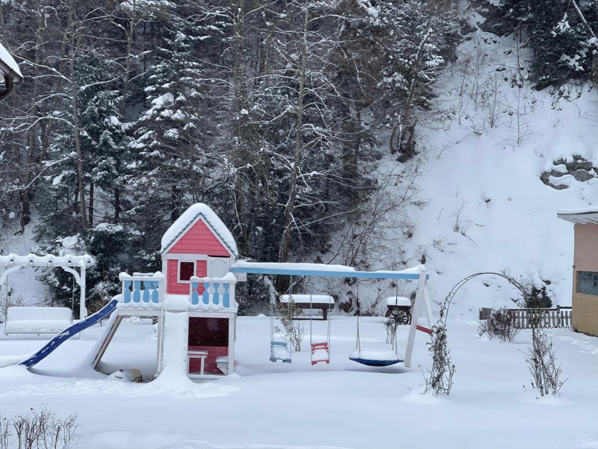 Anelisse Inn Moeciu De Sus Zewnętrze zdjęcie